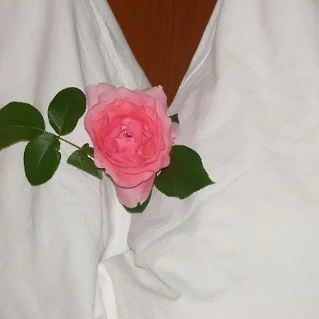 Gasthof Thaller Gasthof